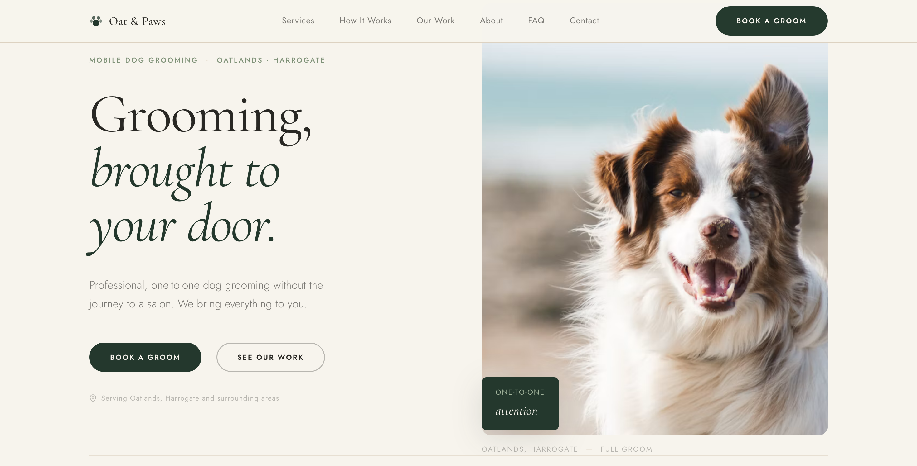 Oat & Paws — Minimal Editorial Concept
